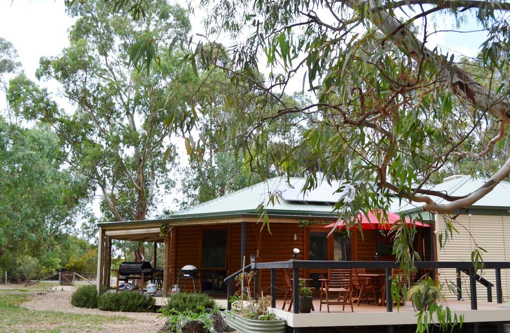 Friends At Mclaren Vale Bed & Breakfast Dış mekan fotoğraf